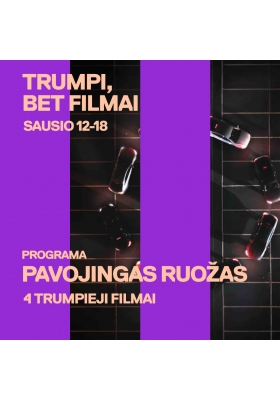 PAVOJINGAS RUOŽAS